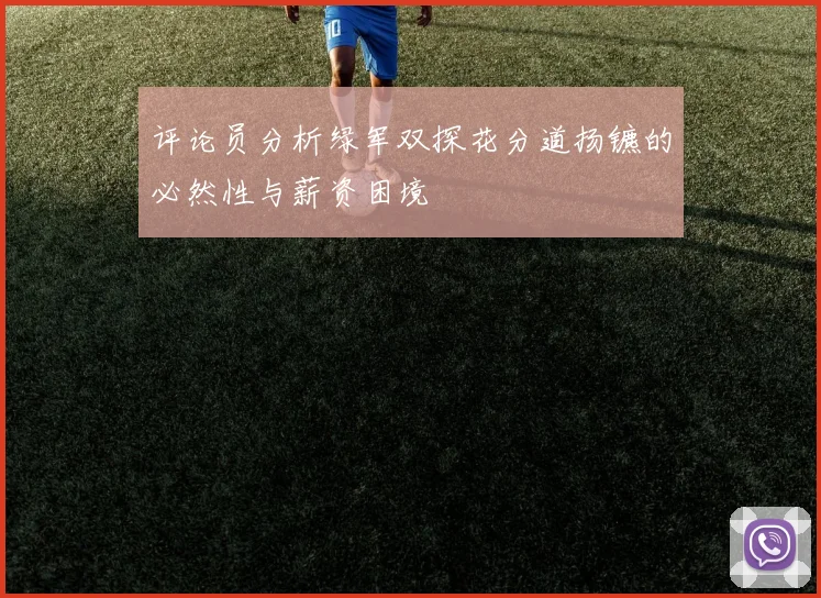 评论员分析绿军双探花分道扬镳的必然性与薪资困境