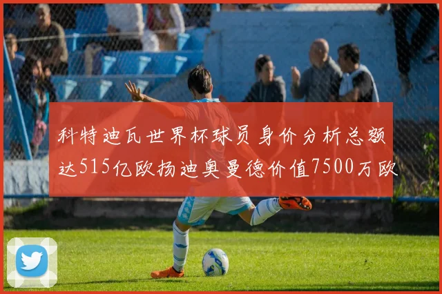 科特迪瓦世界杯球员身价分析总额达515亿欧扬迪奥曼德价值7500万欧